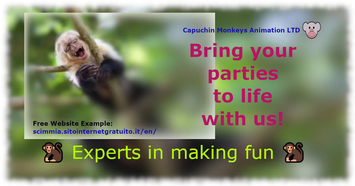Capuchin Monkeys Animation Ltd. Showcase Website